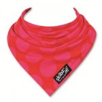 Fuchsia Circles Skibz Teething Bib